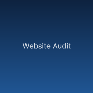 Website Audit