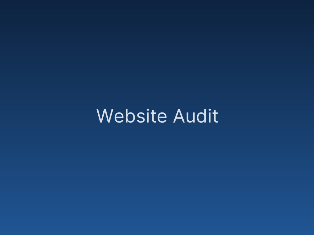 Website Audit